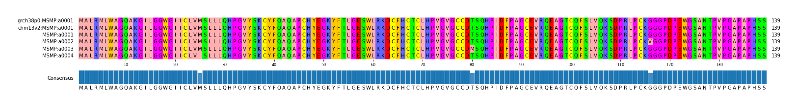 Multiple Alignments (by translate haplotype frequency)