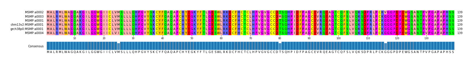 Multiple Alignments (by translate haplotype similarity)