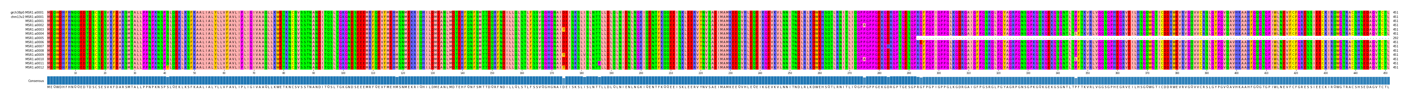 Multiple Alignments (by translate haplotype frequency)