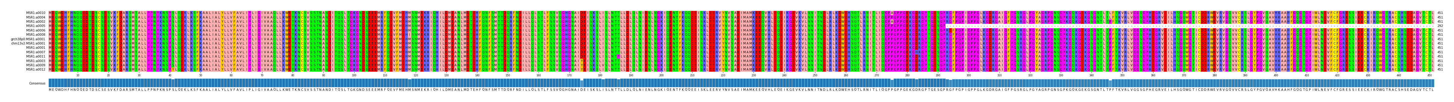 Multiple Alignments (by translate haplotype similarity)