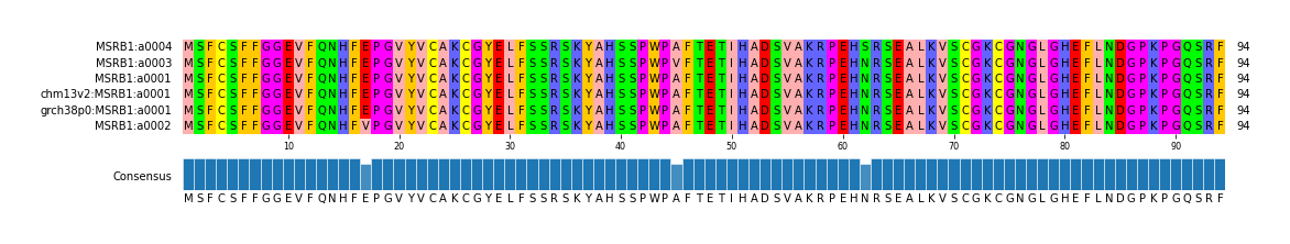 Multiple Alignments (by translate haplotype similarity)