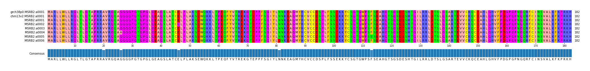 Multiple Alignments (by translate haplotype frequency)
