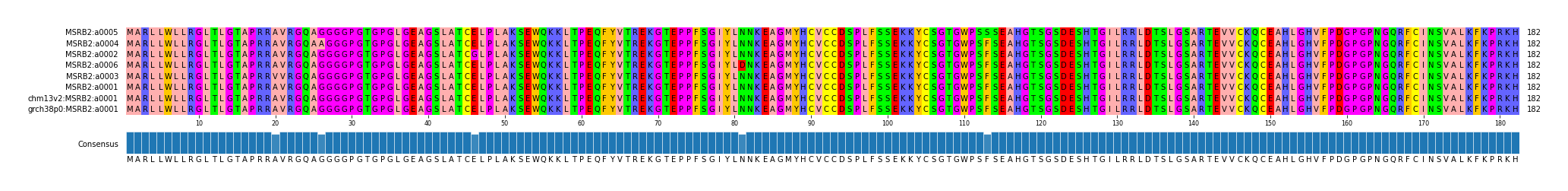 Multiple Alignments (by translate haplotype similarity)