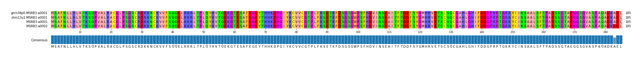 Multiple Alignments (by translate haplotype similarity)