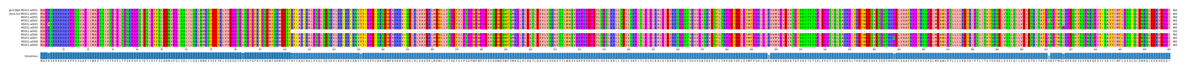 Multiple Alignments (by translate haplotype frequency)