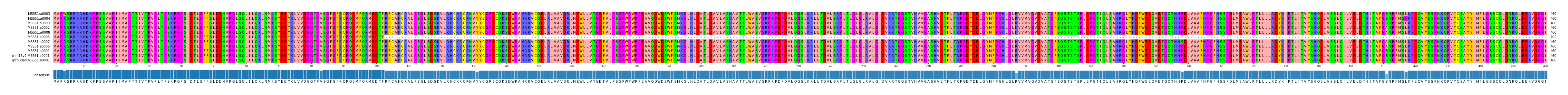 Multiple Alignments (by translate haplotype similarity)