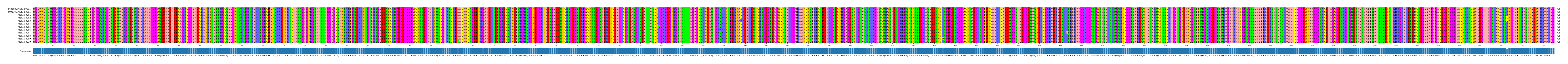Multiple Alignments (by translate haplotype frequency)