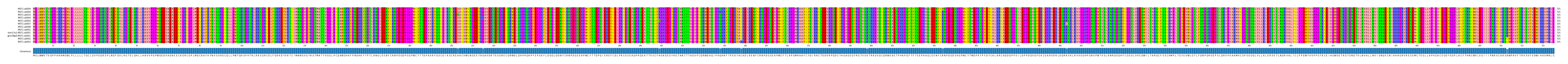Multiple Alignments (by translate haplotype similarity)