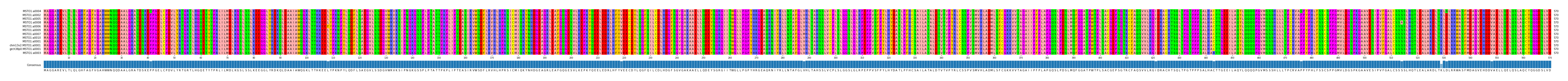 Multiple Alignments (by translate haplotype similarity)