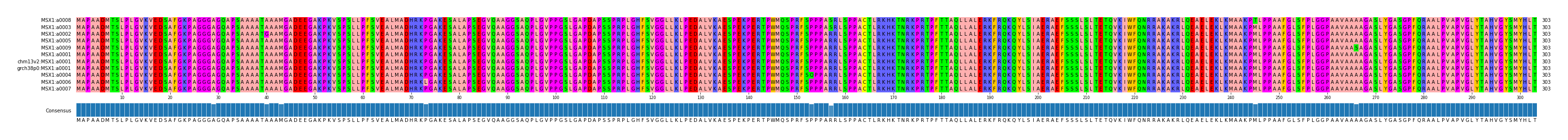 Multiple Alignments (by translate haplotype similarity)