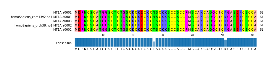 Multiple Alignments (by translate haplotype similarity)