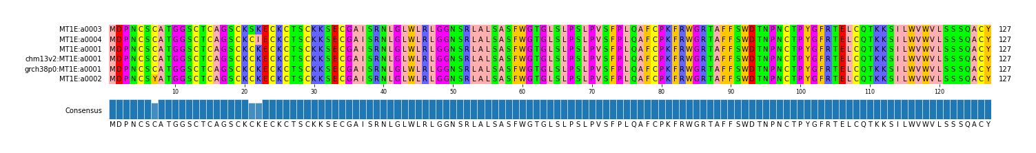 Multiple Alignments (by translate haplotype similarity)