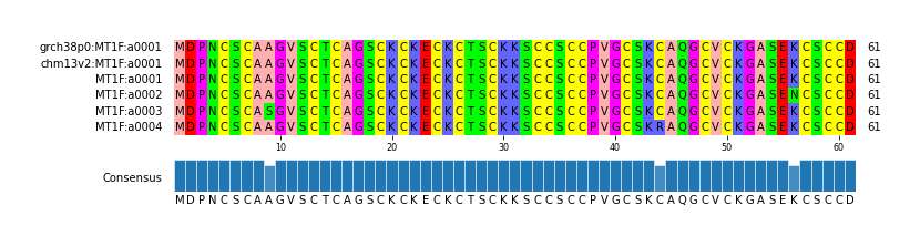 Multiple Alignments (by translate haplotype frequency)