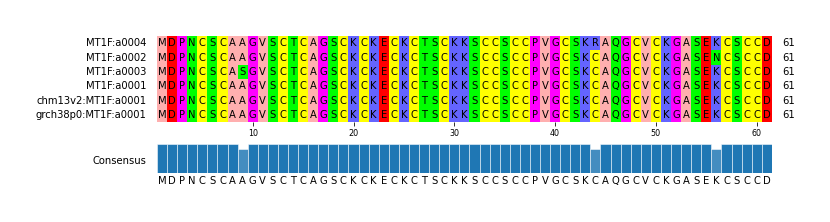 Multiple Alignments (by translate haplotype similarity)