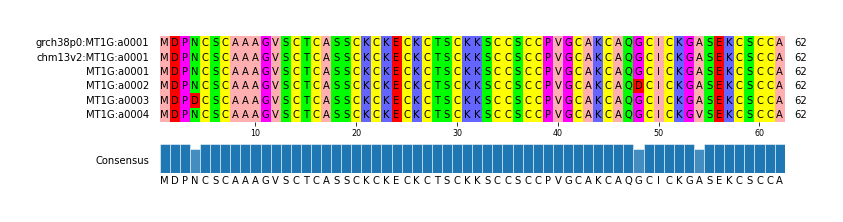 Multiple Alignments (by translate haplotype frequency)