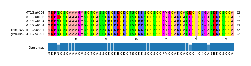 Multiple Alignments (by translate haplotype similarity)