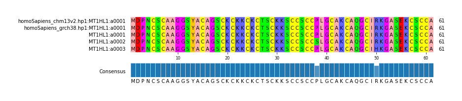 Multiple Alignments (by translate haplotype frequency)
