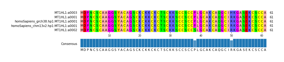 Multiple Alignments (by translate haplotype similarity)