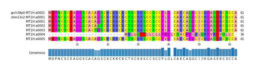 Multiple Alignments (by translate haplotype frequency)