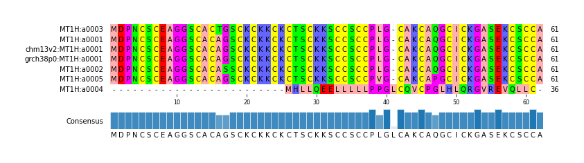 Multiple Alignments (by translate haplotype similarity)