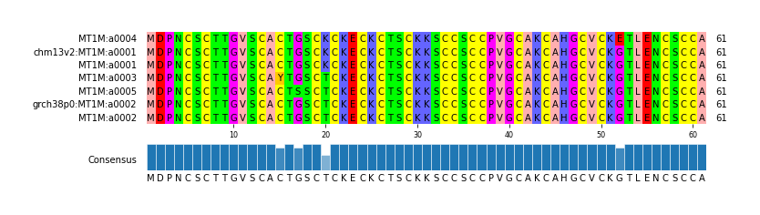 Multiple Alignments (by translate haplotype similarity)