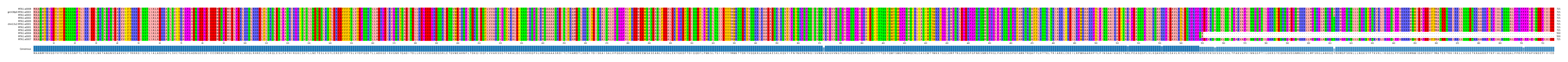 Multiple Alignments (by translate haplotype similarity)
