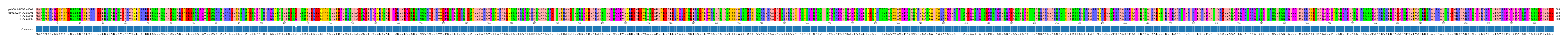 Multiple Alignments (by translate haplotype similarity)