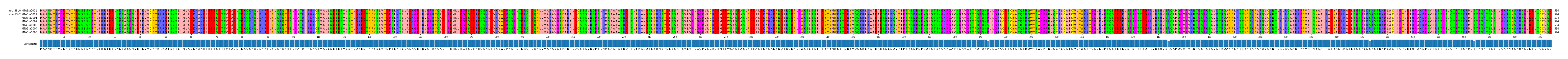 Multiple Alignments (by translate haplotype frequency)