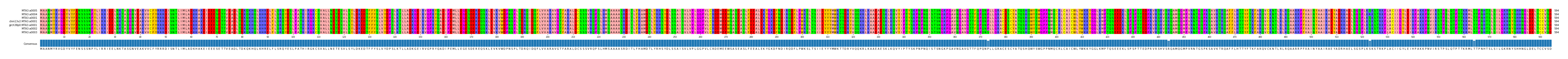 Multiple Alignments (by translate haplotype similarity)