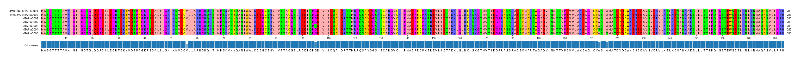 Multiple Alignments (by translate haplotype frequency)