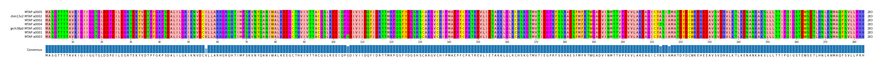 Multiple Alignments (by translate haplotype similarity)