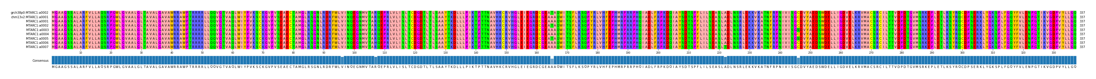 Multiple Alignments (by translate haplotype frequency)