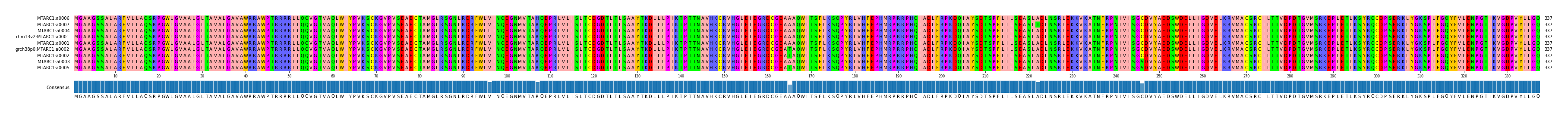 Multiple Alignments (by translate haplotype similarity)