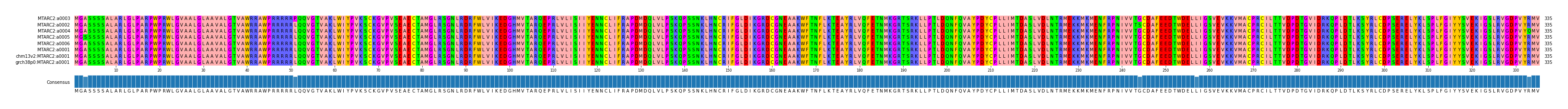 Multiple Alignments (by translate haplotype similarity)