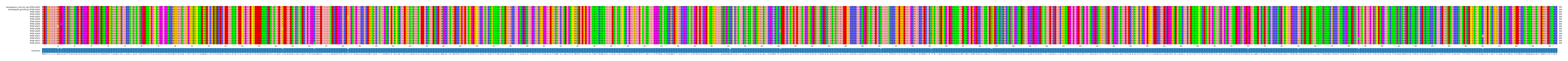 Multiple Alignments (by translate haplotype frequency)
