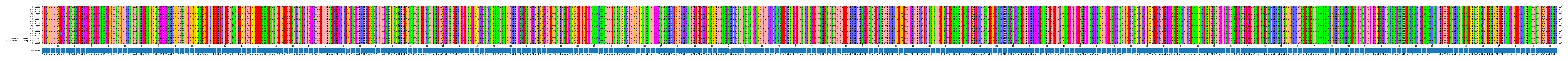 LD (by translate haplotype similarity)