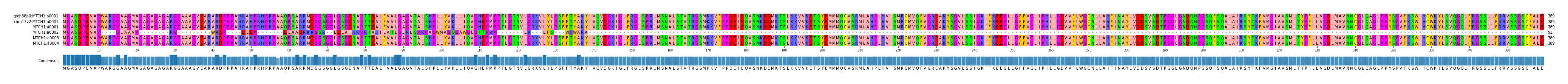 Multiple Alignments (by translate haplotype frequency)