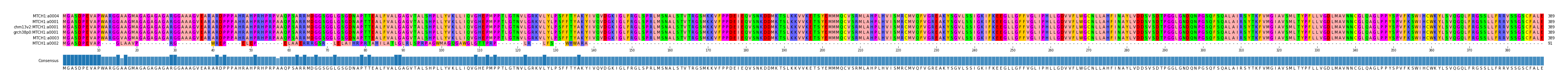 Multiple Alignments (by translate haplotype similarity)