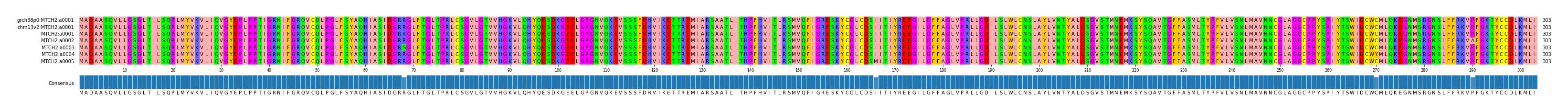 Multiple Alignments (by translate haplotype frequency)