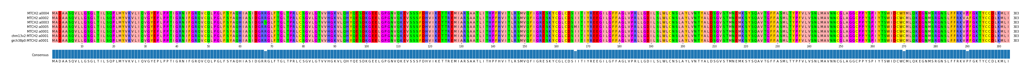 Multiple Alignments (by translate haplotype similarity)