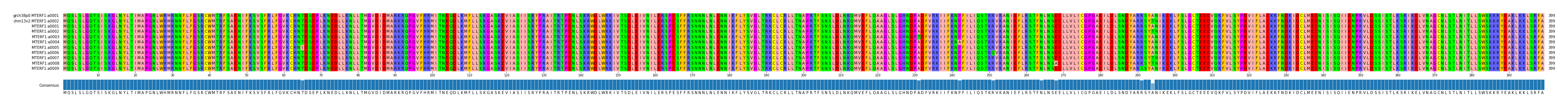Multiple Alignments (by translate haplotype frequency)