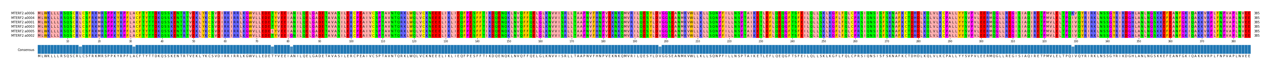 Multiple Alignments (by translate haplotype similarity)