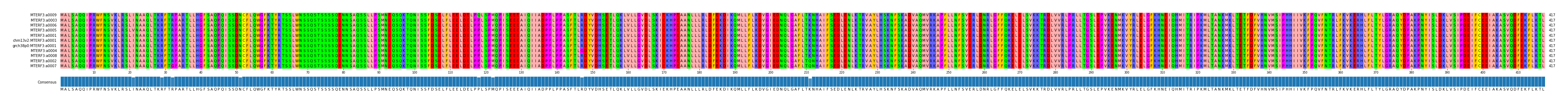 Multiple Alignments (by translate haplotype similarity)