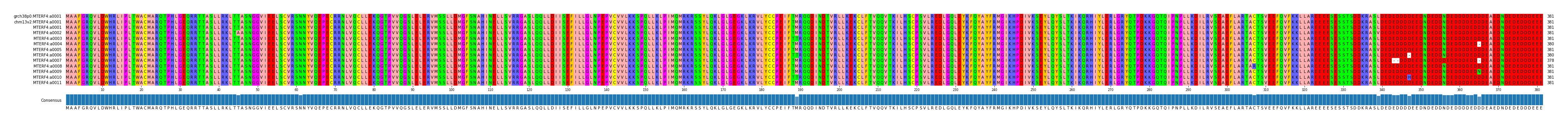 Multiple Alignments (by translate haplotype frequency)