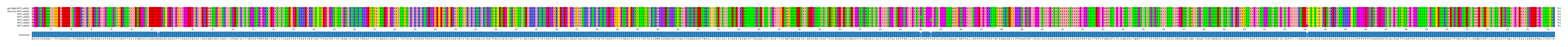 Multiple Alignments (by translate haplotype frequency)