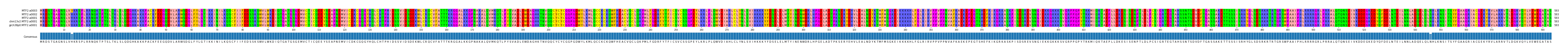 Multiple Alignments (by translate haplotype similarity)