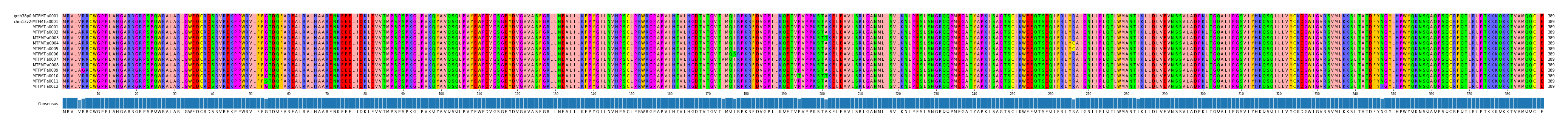 Multiple Alignments (by translate haplotype frequency)