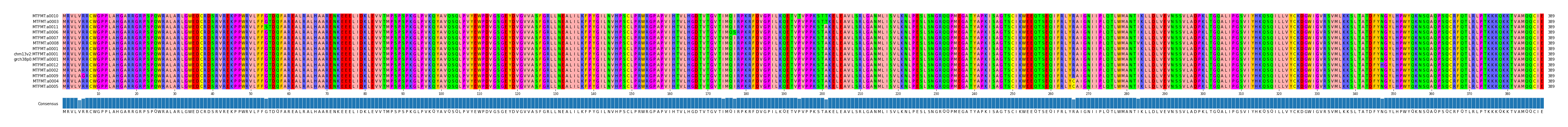 Multiple Alignments (by translate haplotype similarity)