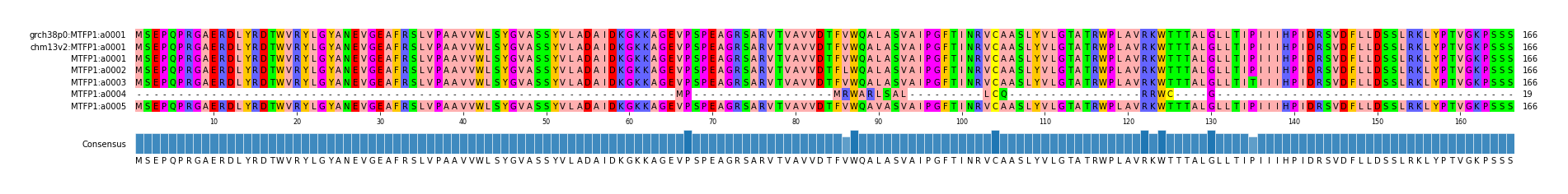 Multiple Alignments (by translate haplotype frequency)