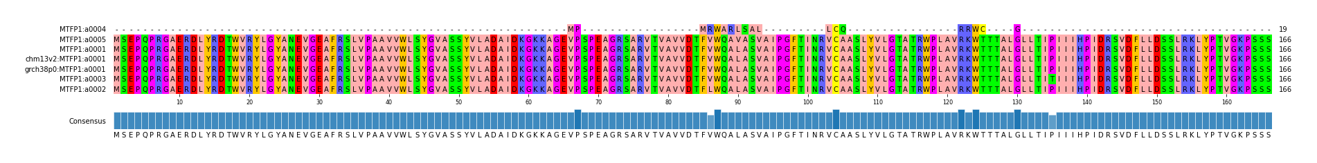 Multiple Alignments (by translate haplotype similarity)